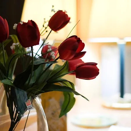 Bed & Breakfast Rodoflor Castellammare di Stabia
